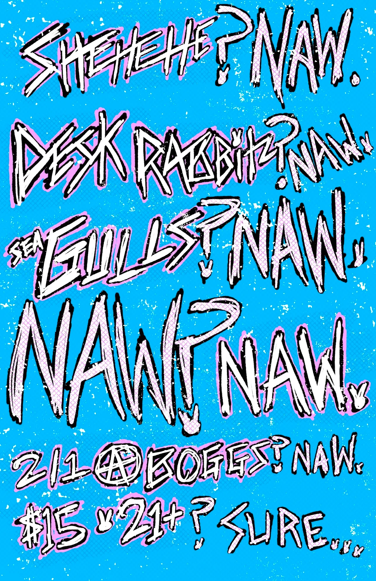 Blue flyer with hand-lettered band names shehehe, desk rabbitz, seagulls and naw, each followed by a question mark, for 2/1 at Boggs, $15, 21+.